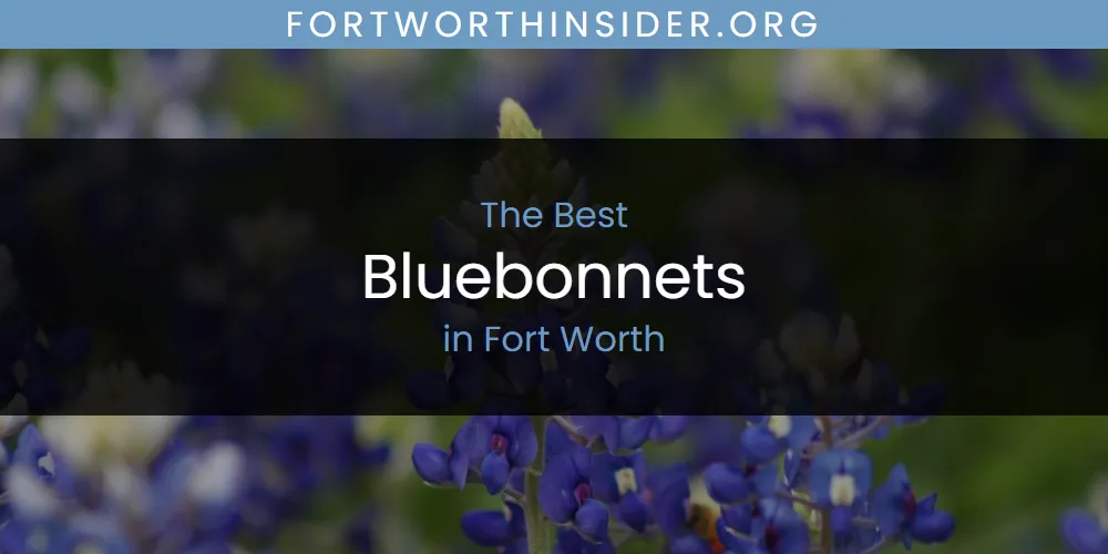 The Absolute Best Bluebonnets in Fort Worth  [Updated 2025]