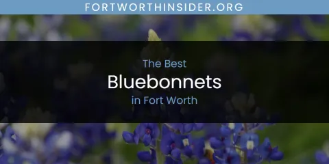 The Best Bluebonnets in Fort Worth List