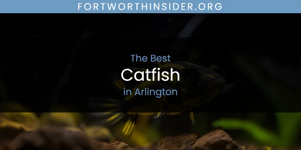 2026 Ranked: Best Catfish in Arlington