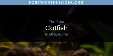The Absolute Best Catfish in Grapevine