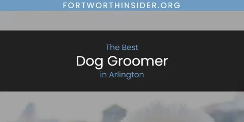 The Absolute Best Dog Groomer in Arlington