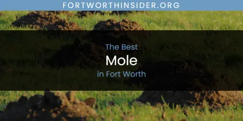 The Absolute Best Mole in Fort Worth