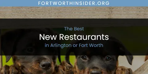 The Absolute Best New Restaurants in Arlington or Fort Worth