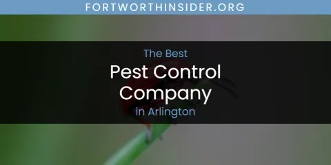 The Absolute Best Pest Control Company in Arlington