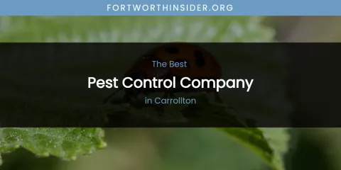 The Absolute Best Pest Control Company in Carrollton