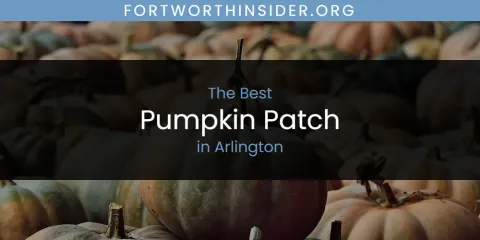 The Absolute Best Pumpkin Patch in Arlington