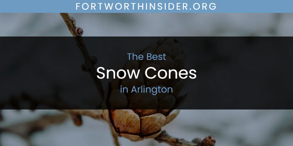 The Absolute Best Snow Cones in Arlington  [Updated 2025]
