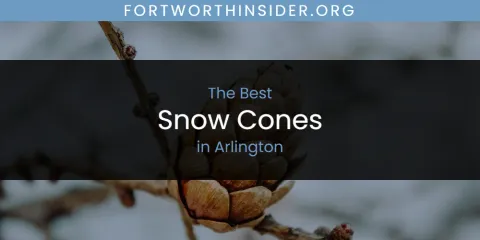 Discover the Best Snow Cones in Arlington