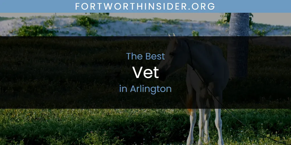 2026 Guide to Best Vet in Arlington