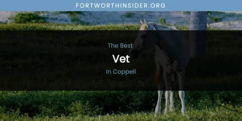The Absolute Best Vet in Coppell