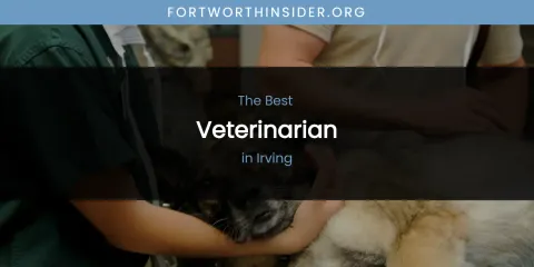The Absolute Best Veterinarian in Irving