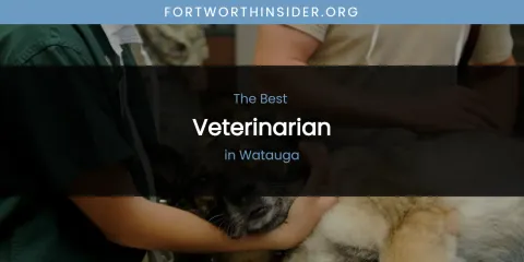 Watauga's Best Veterinarian